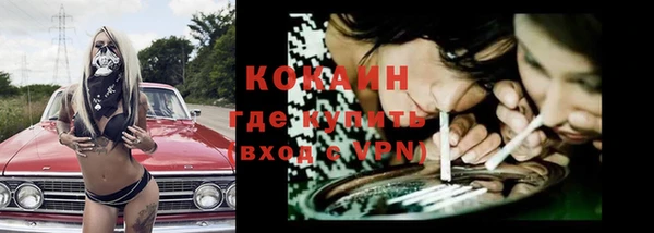 спайс Бородино