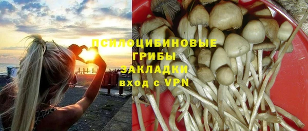спайс Бородино