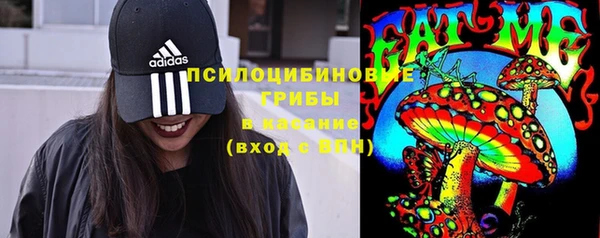 дмт Бугульма