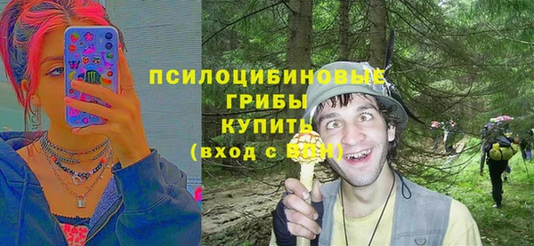 герыч Бронницы