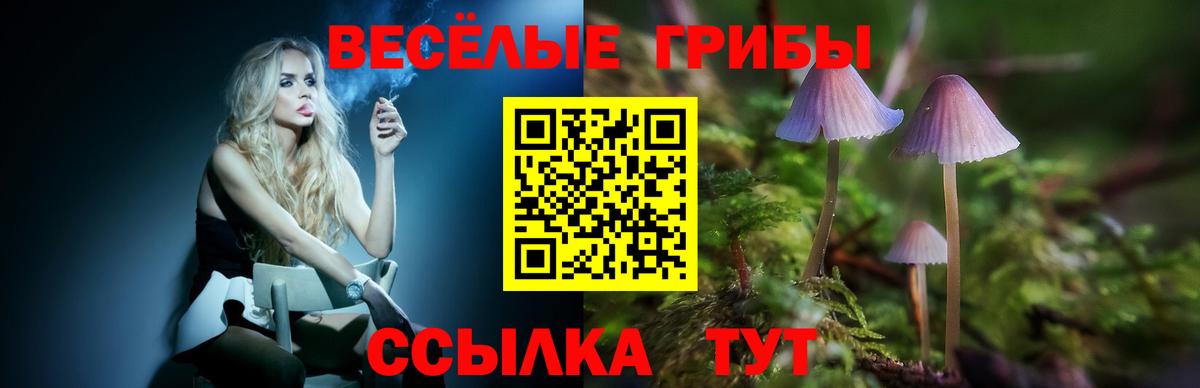 Можайск  Галлюциногенные грибы прущие грибы  Вход с VPN  Галлюциногенные грибы GOLDEN TEACHER 
